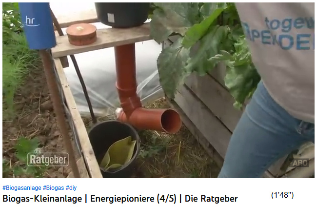 L'arriv�e dans le sac � biogaz pour la
                    production de gaz, o� a lieu la fermentation