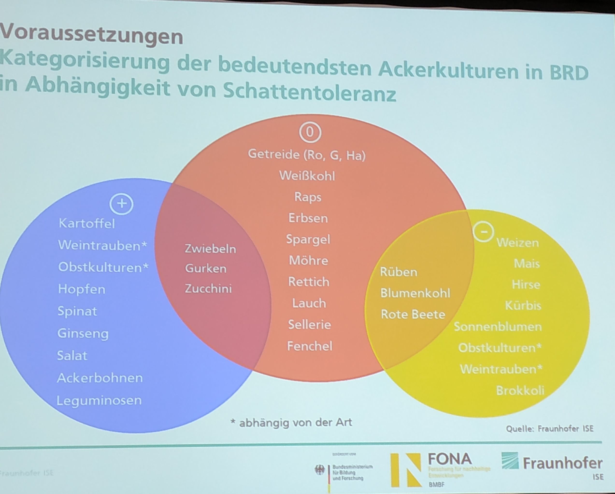 Heggelbach Farm: Graphic with shadow
                      plants (higher yield with solar collectors on
                      top), semi-shadow plants (same yield), sun plants
                      (lower yield)