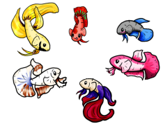 Big
                                power buoy, scheme