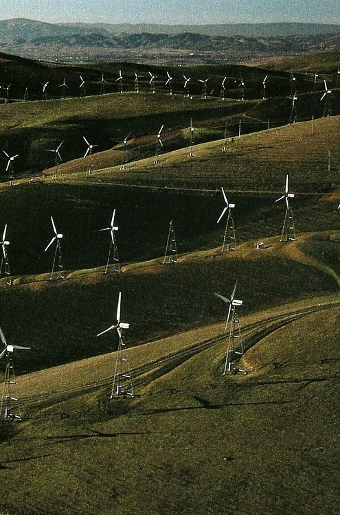 Kriminelle
                                      Windr�der der Windfarm auf dem
                                      Altamont-Pass bei San Francisco