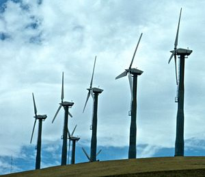 Kriminelle Windr�der der
                                    Windfarm auf dem Altamont-Pass bei
                                    San Francisco 02, neu
