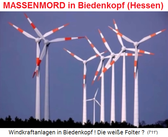 Biedenkopf (Hessen): MASSENMORD durch
                              Windräder (Windkraftanlagen) im Wald ca.
                              400m von der Stadt entfernt