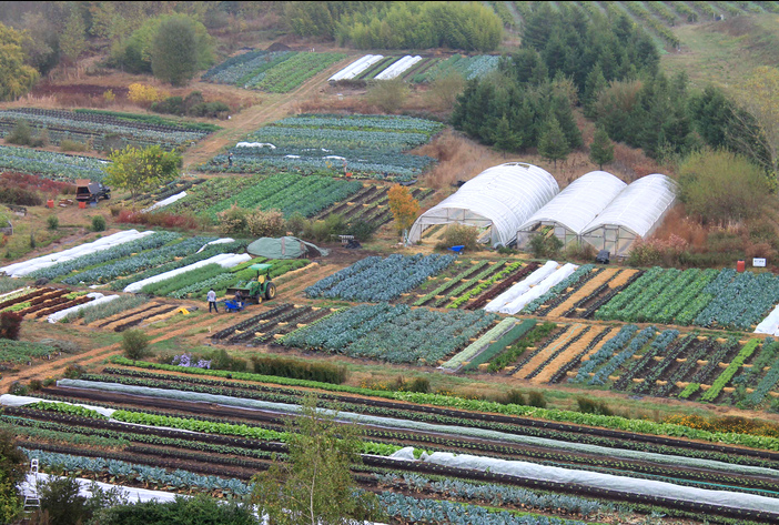 Pesticide free
                              agriculture, e.g. on Singing Frogs Farm of
                              Mr. Paul Kaiser in California