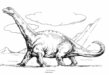 Camarasaurus;
                                          zum Natur-Index
