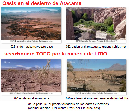 Salar de Atacama, por
                                              la miner�a de litio secan
                                              y mueren oasis