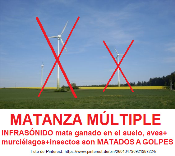 Ventiladores
                    aerogeneradores matan por ultras�nido el ganado en
                    el piso, y matan a golpes millones de aves, millones
                    de murci�lagos y millones de insectos por d�a
