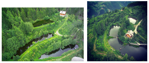 Ponds and Lakes on the permaculture farm
                          of Sepp Holzer in Austria (Krameterhof)