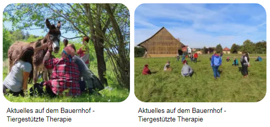 Therapeutischer Bauernhof:
                    tiergest�tzte Therapie