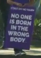 Demo
                        poster against Trans mania: "No one is born
                        in the wrong body"