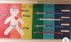 Trans
                  "gender board" 02