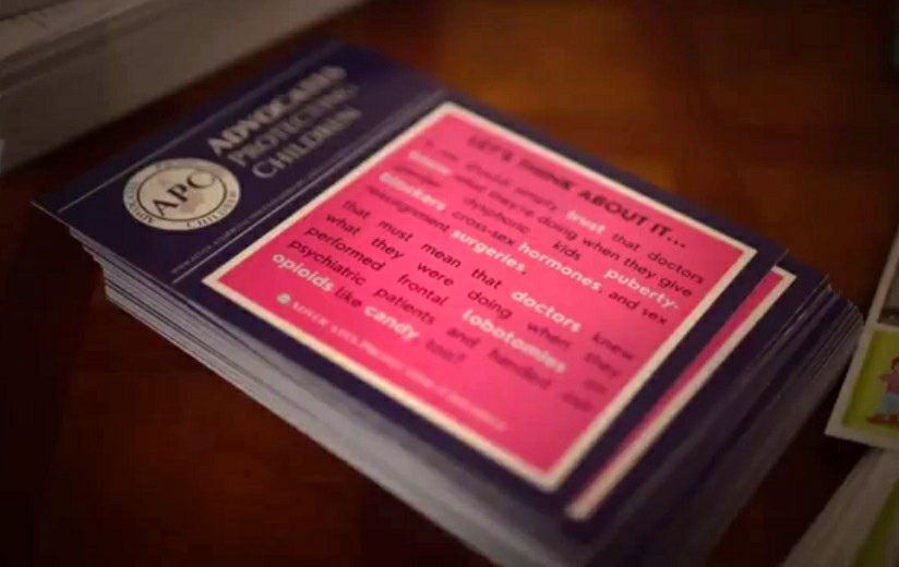 Leaflet of the
                    resistance organization APC (Advocates Protect
                    Children)