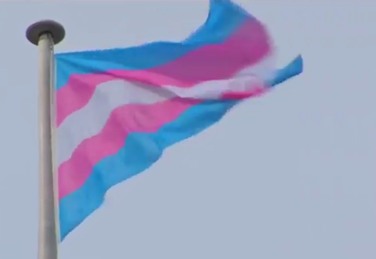 Die Trans-Fahne in blau-rosa-weiss Die
Trans-Fahne in blau-rosa-weiss