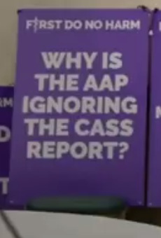 Poster: "WHY IS THE
                    AAP IGNORING THE CASS REPORT?"