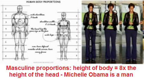Ladyboy Michelle Obama: 8x den Kopf gross
