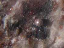 Quecksilber in
Naturform in kleinen Tröpfchen,
Moschellandsberg, Pfalz, Deutschland Quecksilber in Naturform in kleinen
Tröpfchen, Moschellandsberg, Pfalz,
Deutschland