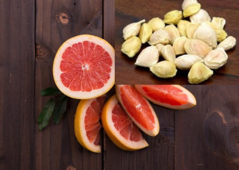 Orange Grapefruits mit Grapefruitkernen