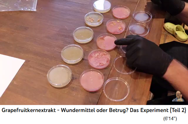 Die antibiotische
                  Wirkung von Grapefruitkernextrakt in Petrischalen mit
                  N�hrboden: in hoher Konzentration wirkt es
                  antibakteriell: Video: Grapefruitkernextrakt -
                  Wundermittel oder Betrug? Das Experiment (Teil 2)
                  (18'41'')
