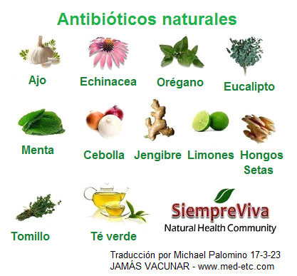 Antibi�ticos naturales: Ajo - Equin�cea -
                    Or�gano - Eucalipto - Menta piperita - Cebolla -
                    Jengibre - Lim�n / Lima - Setas - Tomillo - T�
                    verde