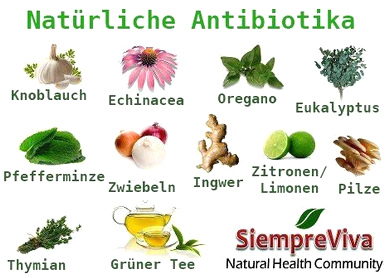 Nat�rliche
                  Antibiotika