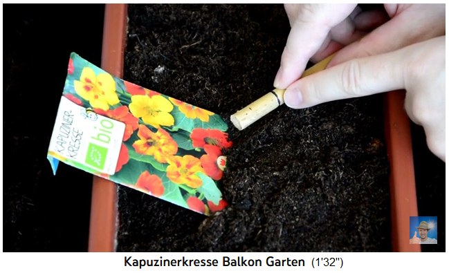 bamboo stick with marking 2cm