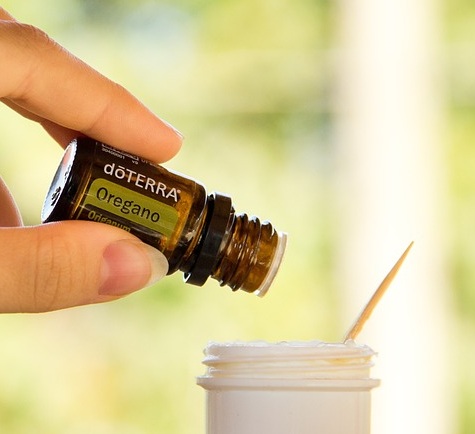 Oregano oil