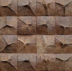 Coconut tiles,
                  close up