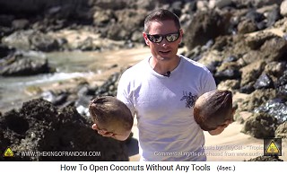 Wir sehen originale Kokosn�sse auf Hawaii