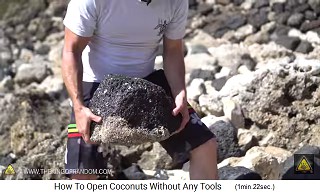 Man nimmt einen grossen
                  Stein, um ihn auf die Kokosnuss zu werfen