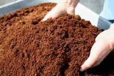 Regenwurmerde und
                  kleingeschnittene Kokosfaser f�r den Gartenbau 01