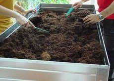 Regenwurmerde und
                  kleingeschnittene Kokosfaser f�r den Gartenbau 02