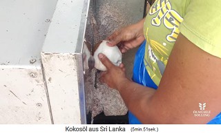 Das Fruchtfleisch (Kopra) wird von
                  Hand mit Messer an einem Prellbock gesch�lt 03 mit
                  Sch�lmaschine