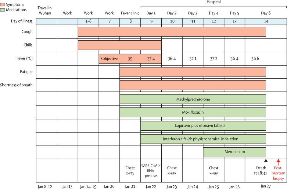 Der
                            Corona19-Patient (50) in Italien: Symptome
                            und Giftpillen, Grafik (Spitalaufenthalt
                            8.-27.2.2020)