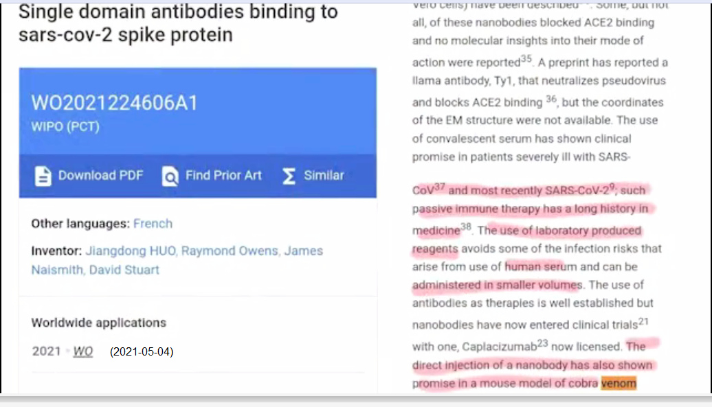 4.5.2021: Single domain
                antibodies binding to sars-cov-2 spike protein