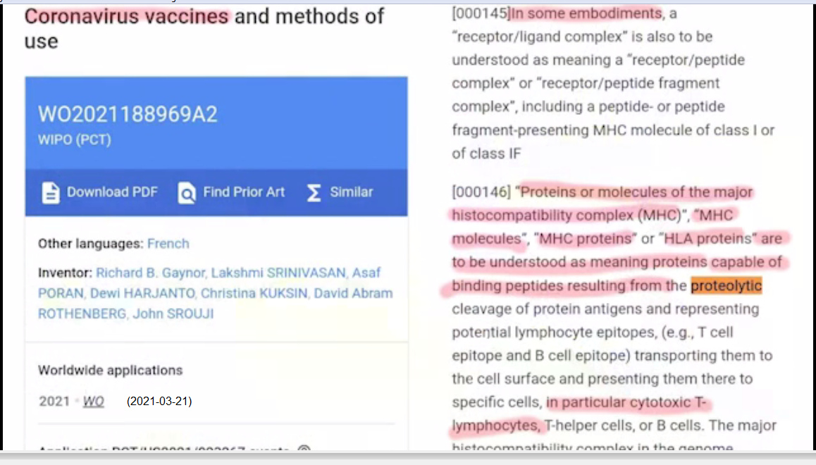 Patent von Pfizer / BionTech 21.3.2021: Coronavirus
                vaccines and methods of use - text