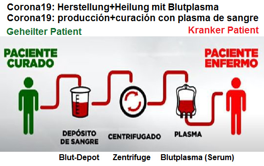 Heilung von Corona19 mit Blutplasma,
                          Schema - curaci�n de Corona19 con plasma de
                          sangre, esquema