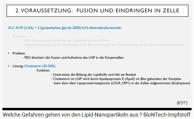 DIAPOSITIVA 4b: A la
                  nanopart�cula lip�dica el colesterol es integrado