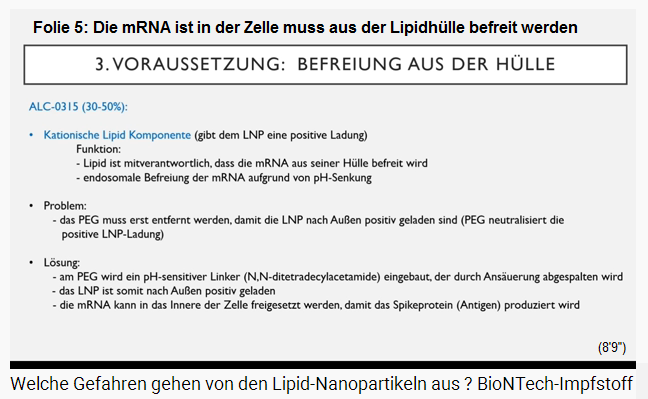 Diapositiva
                  5: El ARNm de la c�lula debe liberarse de la envoltura
                  lip�dica