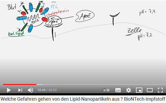 Diapositiva 6b de la prote�na de pico con
                reacciones con la mol�cula APOE y la prote�na apolipo,
                etc.