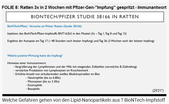FOLIE 8: Ratten 3mal in 2 Wochen
                  mit Gen-"Impfung" von Pfizer gespritzt - und
                  die Immunantwort