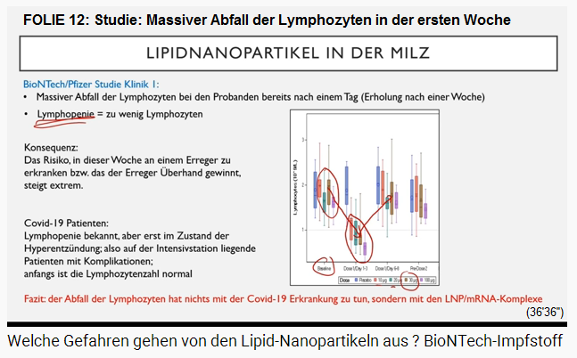 FOLIE 12: Grafik: Das
                  Lymphozyten-Level sinkt 1 Woche lang