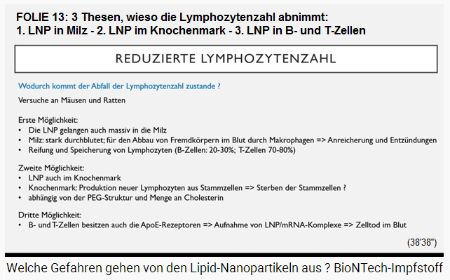 FOLIE 13: 3
                  Thesen, wieso die Lymphozytenzahl abnimmt: 1. LNP in
                  der Milz - 2. LNP im R�ckenmark - 3. B- und T-Zellen
                  nehmen LNP auf