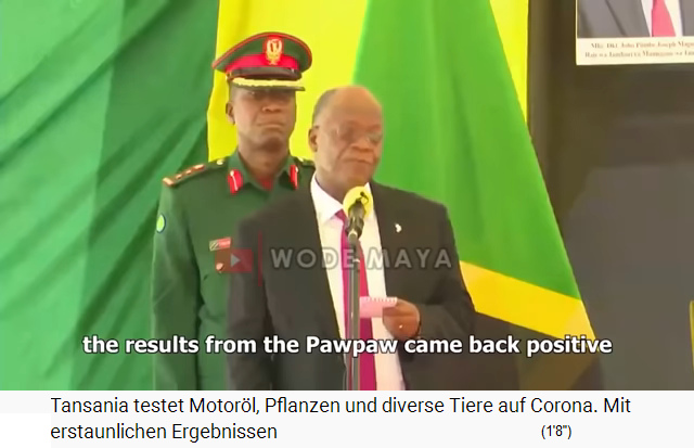 Der Pr�sident von Tansania
                      berichtet: Die Fl�ssigkeit von Papaya wurde
                      Corona19-positiv getestet