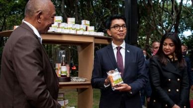 Der Pr�sident von Madagaskar pr�sentiert das
                  Naturheilmittel gegen Corona19 mit dem
                  Hauptbestandteil Artemisia annua, ausserdem Olibanum
                  und Curcuma
