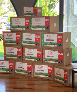 Madagaskar 8.5.2020: Da steht kistenweise das
                  Heilmittel gegen Corona19 mit Artemisia annua herum