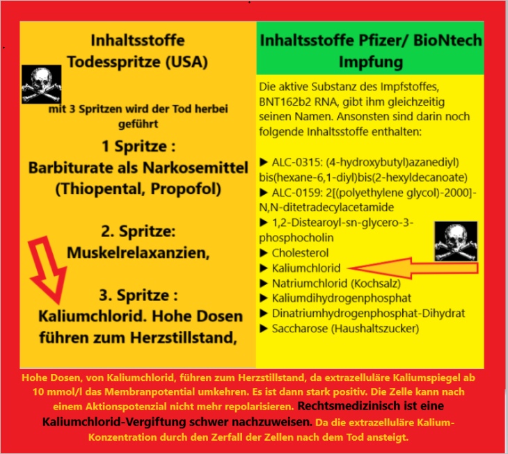 Liste der
                t�dlichen Inhaltsstoffe der Pfizer-Gen-Impfung mit
                Kaliumchlorid, das einen Herzstillstand provozieren
                kann
