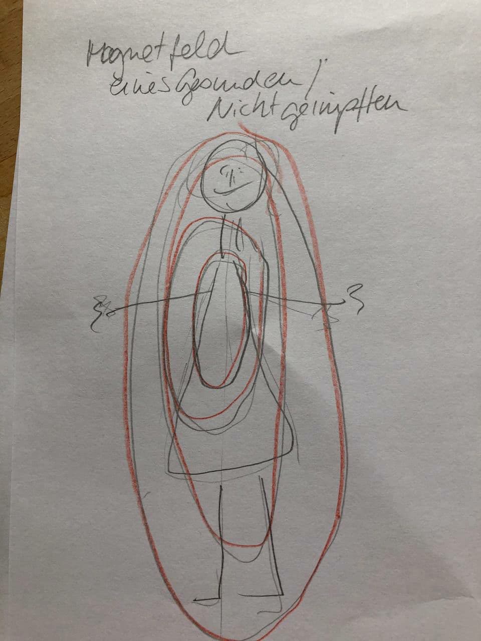 Das Magnetfeld bei einem gesunden Menschen