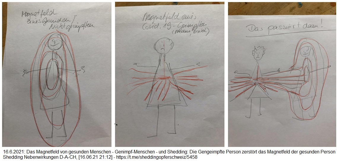 Das Magnetfeld von
                          gesunden Nicht-Geimpften - von kranken
                          Gengeimpften - und das Shedding