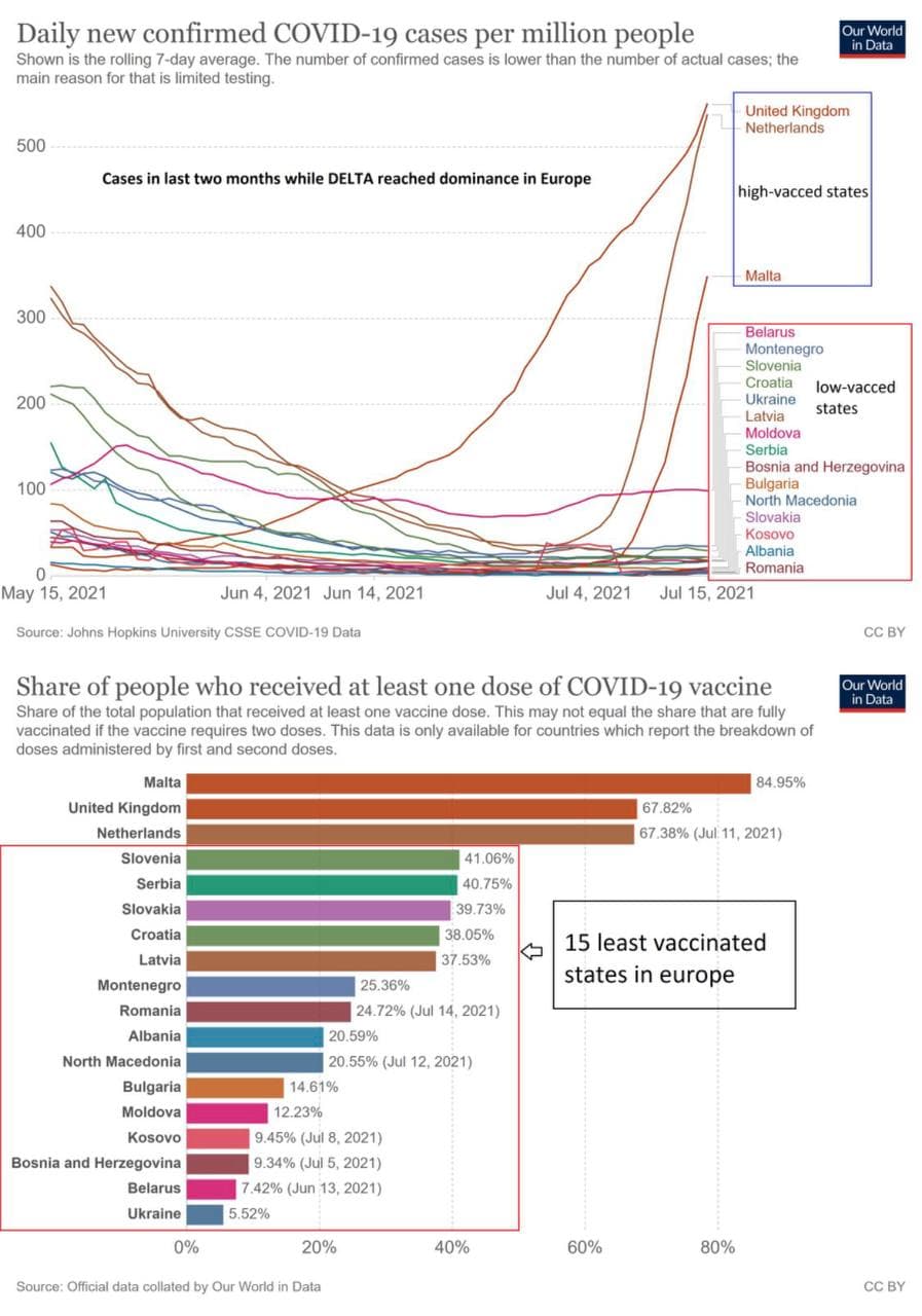 Grafik: GENgeimpfte Staaten haben
                    steile Kurven