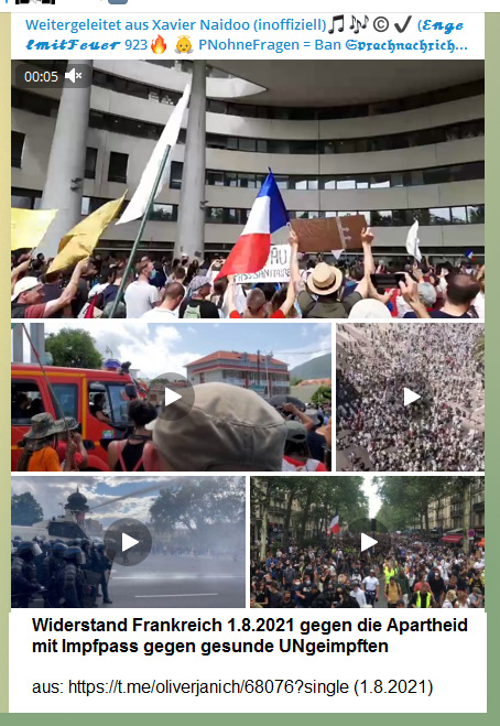Widerstand Frankreich 1.8.2021: Frankreich 🇫🇷
                    demonstrieren gegen die Apartheid mit
                    "Gesundheitspass" und GENimpflicht
                    Video-Link: https://t.me/oliverjanich/68076