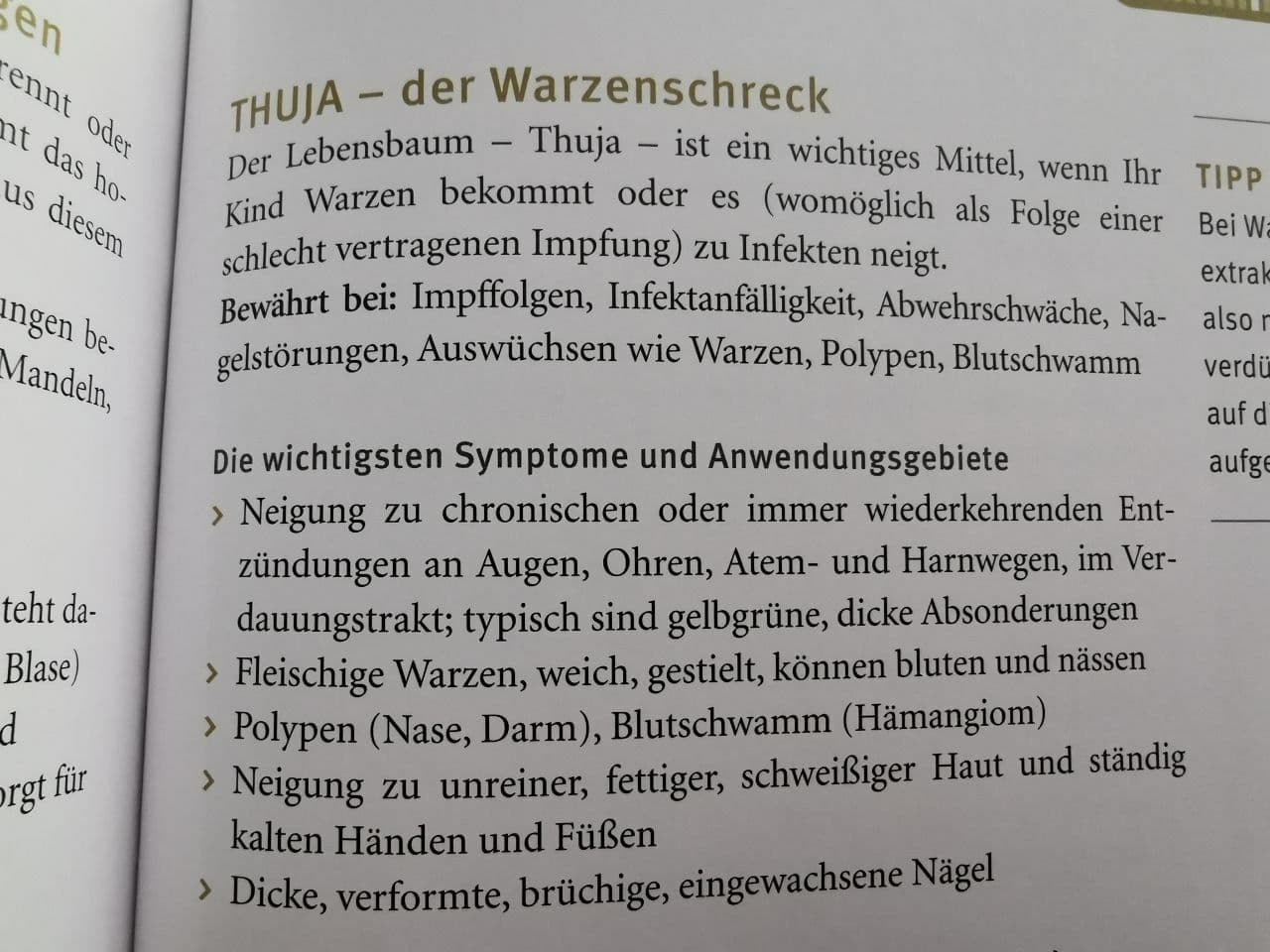 6.9.2021: Thuja gegen Shedding-Ausschlag 01